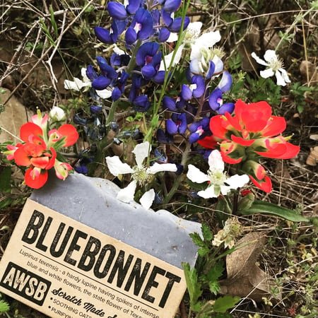 Clusters of vibrant blue, red, and white flowers create a stunning display beside an A Wild Soap Bar - Bluebonnet sign. These beautiful blooms thrive in their patch of grass and soil, adding natural color to the landscape.