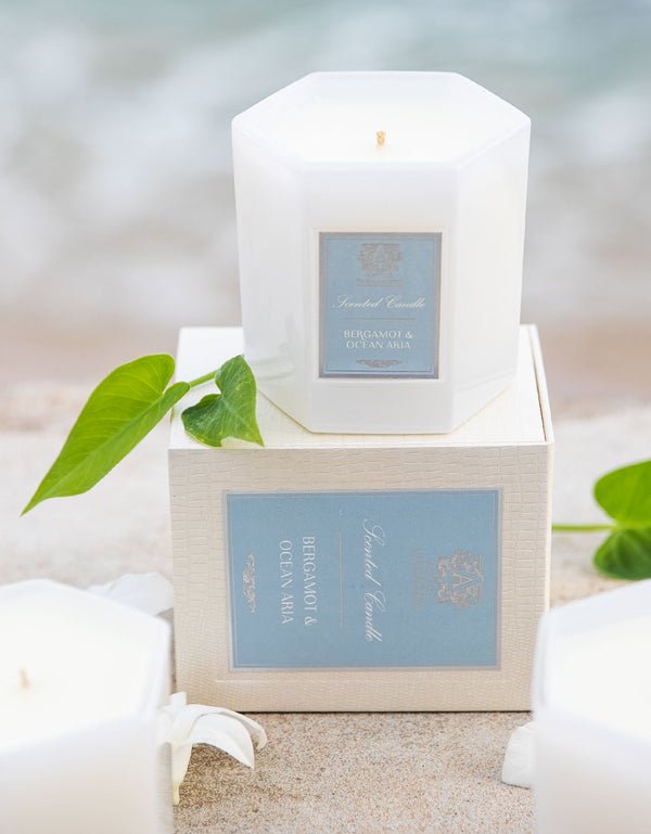 A hexagonal white soy-paraffin candle by Antica Farmacista, labeled Bergamot & Ocean Aira, rests on a matching white box with green leaves on sand and a blurred ocean backdrop, evoking soothing oceanic notes.