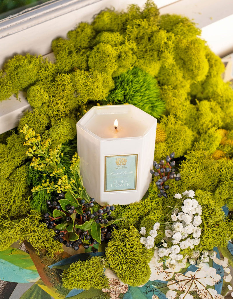 The Antica Farmacista - Elder Flower 9oz Candle is lit on vibrant green moss, accompanied by elderflowers and berries for a lush setting. Crafted from a soy-paraffin wax blend, the candle evokes whispers of botanical poetry under its Garden by the Sea label.