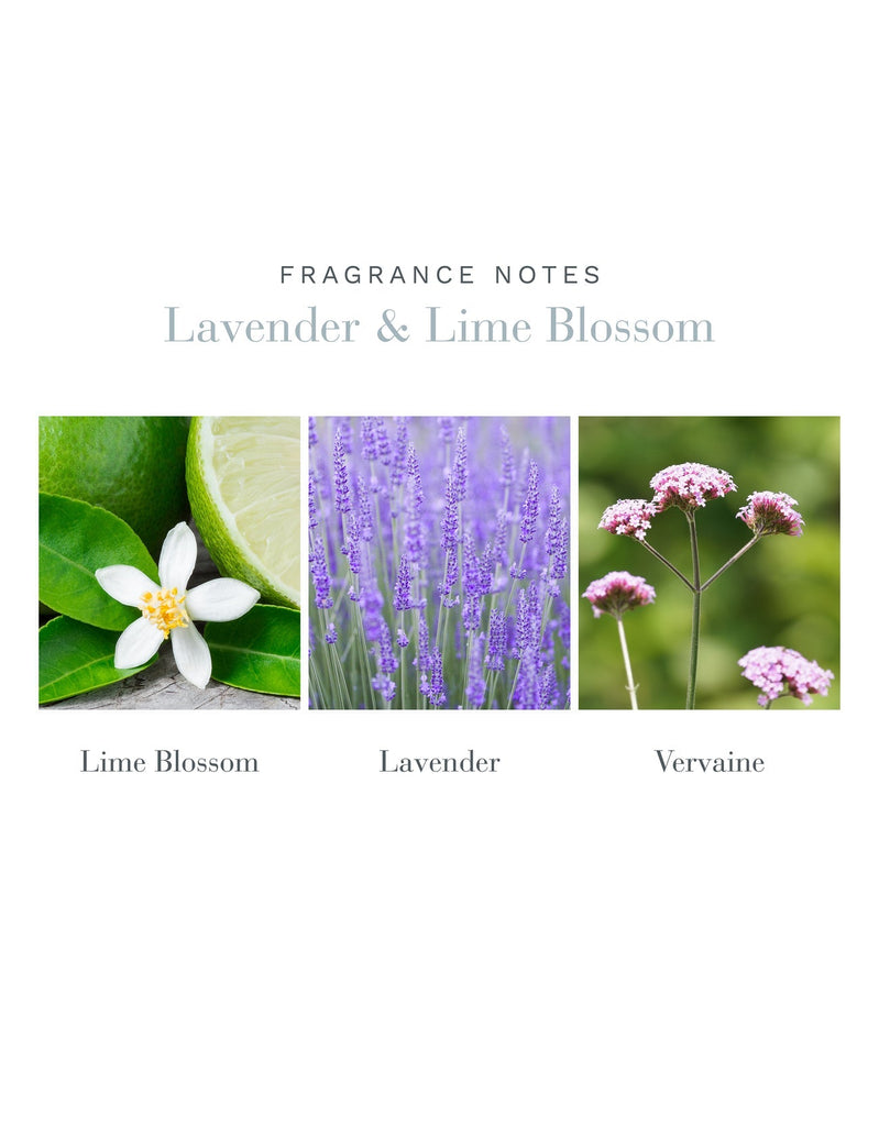 Image of fragrance notes for Antica Farmacistas Lavender & Lime Blossom 9oz Candle: Left features lime blossom with lime; center has lavender flowers; right shows pink vervaine. Text: Fragrance Notes Lavender & Lime Blossom - Crafted in Soy-Paraffin Wax Blend.