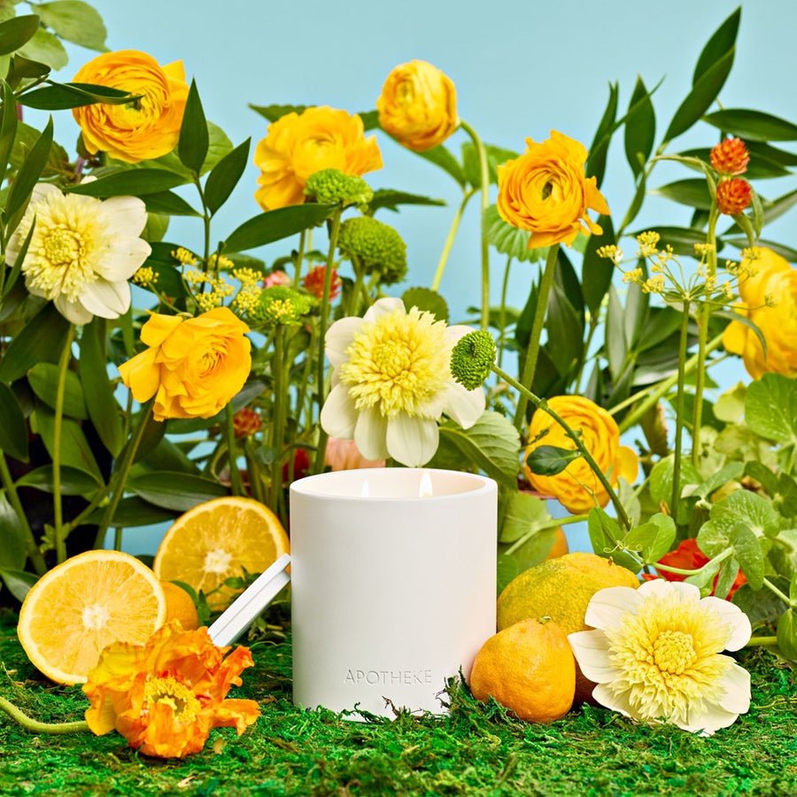 The Apotheke - Neroli Citronella 2 Wick Candle by Apotheke rests on green moss amid yellow and white flowers, orange slices, a whole orange, and lush greenery, set against a light blue background. Made with premium essential fragrance oils.