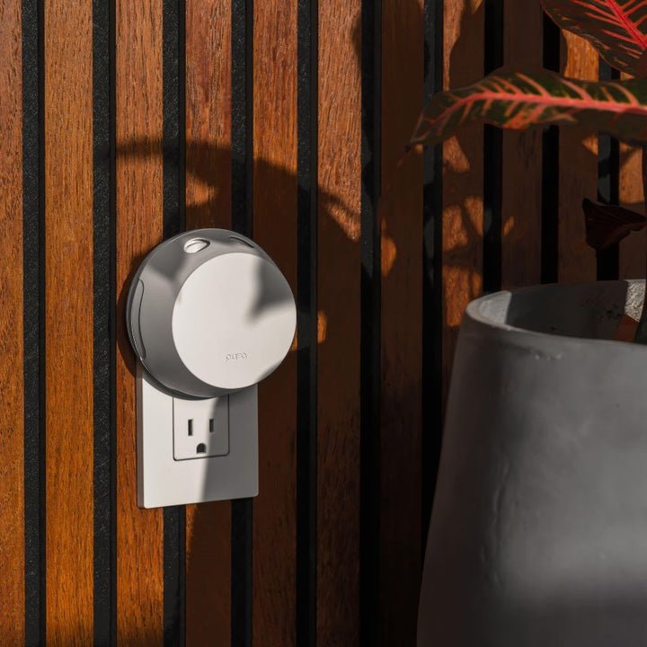 An Apotheke Sea Salt Grapefruit Refill for the Pura Smart Home Fragrance Diffuser is plugged into a white outlet on a striped wooden wall. A gray plant pot with green leaves is nearby, and sunlight casts soft shadows, evoking ethically sourced fragrances.