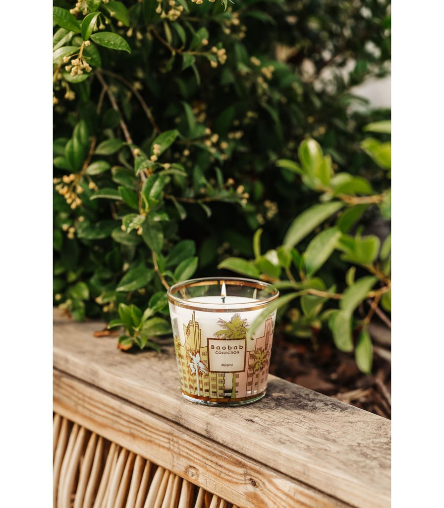 The Boabab - My First Baobab Miami 6.7oz Candle by Baobab, featuring cityscape designs, rests on a wooden ledge amidst lush green foliage, capturing the vibrant allure of art deco buildings.