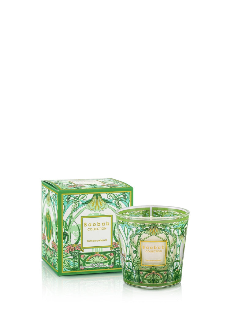 A Boabab - My First Baobab Tomorrowland 6.7oz Candle by Baobab, featuring a green decorative design with intricate floral and geometric patterns, sits beside its matching box. The gourmet fragrance candle in a transparent holder mirrors the boxs design and is labeled Baobab Collection Tomorrowland.