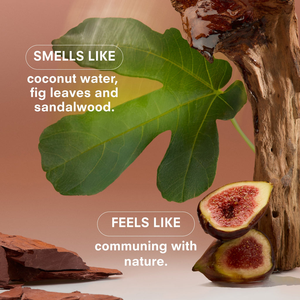 Boy Smells - Woodphoria Eau de Parfum 50ml features a fig leaf, fig fruit, and tree branch with text: Smells like coconut water, fig leaves, and sandalwood. Feels like communing with nature against a warm brown background.