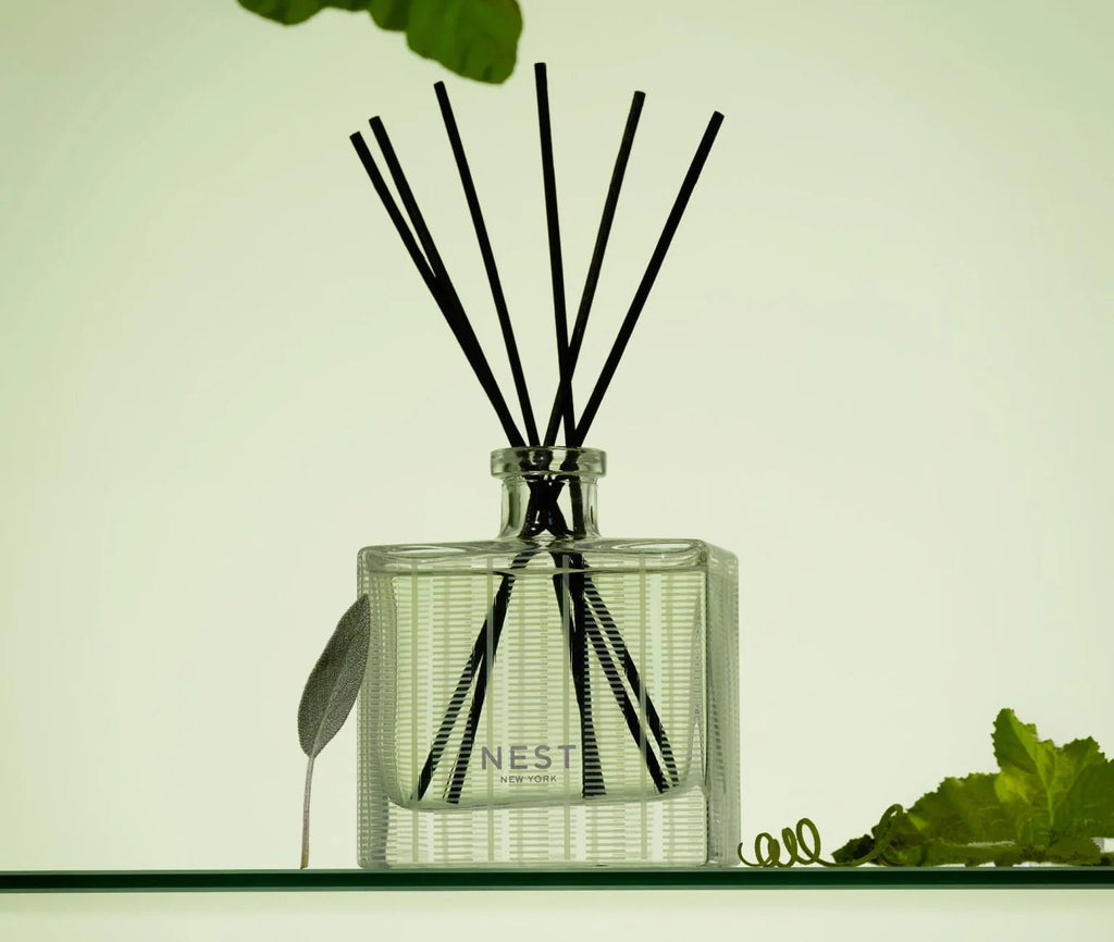 The Nest - Cucumber & White Sage Reed Diffuser, a cruelty-free scent with black reeds, sits on a glass shelf among green leaves and a pale green background—an elegant wellness fragrance for your space.