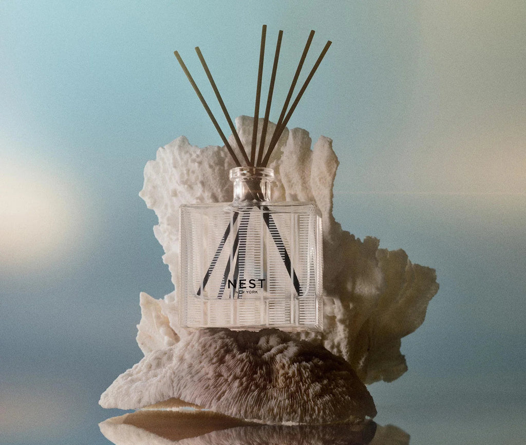 The Nest Ocean Mist & Sea Salt Reed Diffuser, featuring black reeds in a clear glass bottle, is displayed before white coral and a seashell, set against a soft blue and beige gradient background.