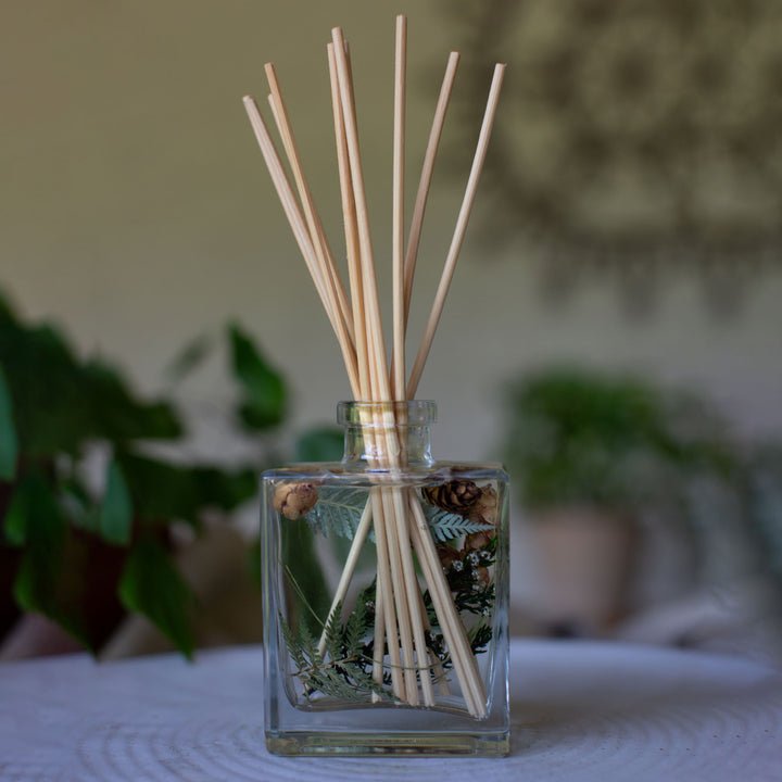 Rosy Rings Forest 4oz Botanical Diffuser features a square glass bottle with delicate reed sticks, artfully arranged pine cones, and evergreen sprigs, set against a softly blurred background with green plants.