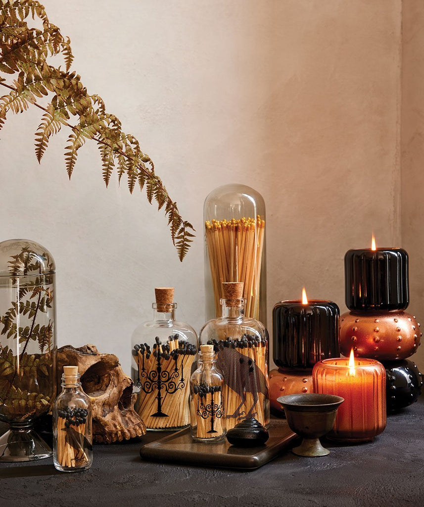 A moody still life showcases Skeems Black Candlescape 10 oz Candle in Tobacco Noir with glass bottles of corked matches, a skull, a bronze cup, and ferns above for a rustic yet mysterious ambiance.