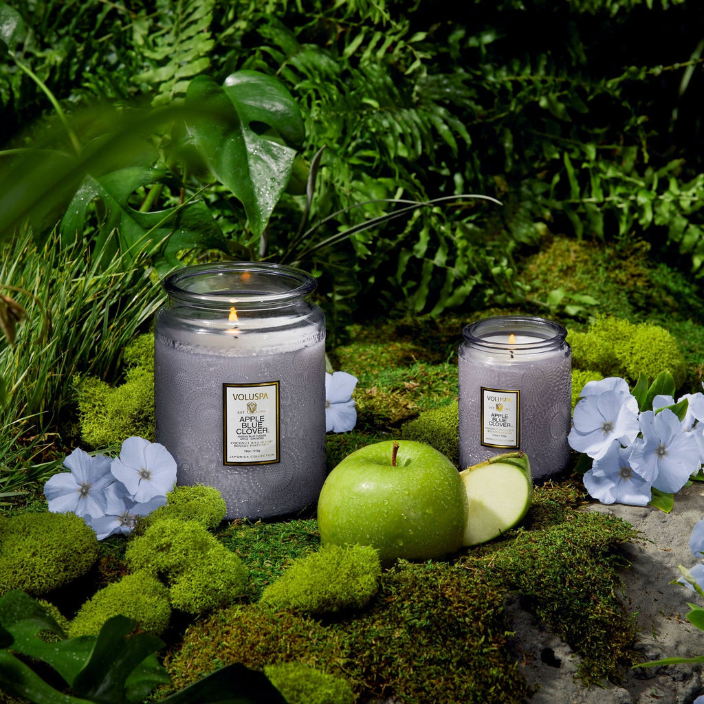 Two large Voluspa candles in glass jars are beautifully displayed amidst green leaves, moss, and Andean Blue Clover flowers. A whole green apple and slices sit before the coconut wax blend candles, hinting at the exquisite fragrance of the Apple Blue Clover scent.