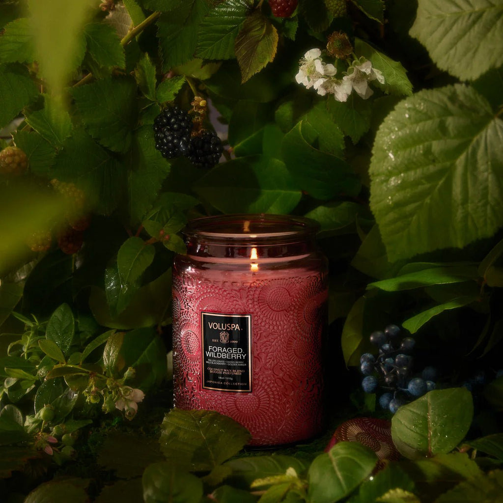 The Voluspa Foraged Wildberry Large Jar 18oz candle exudes a fruity citrus fragrance with hints of blackberries and grapes, enveloping the space in a cozy, natural ambiance.