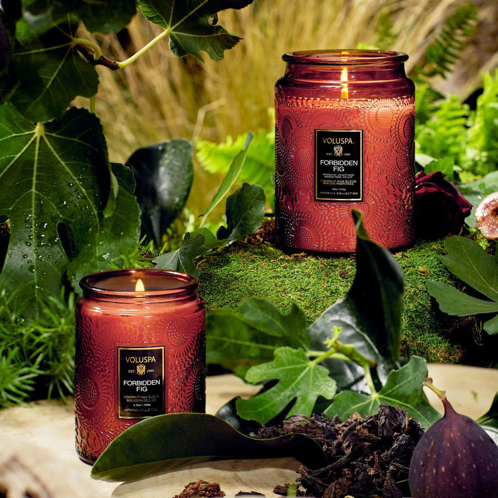 Two Voluspa Forbidden Fig Large Jar 18oz candles crafted with coconut wax are lit, placed on a mossy surface amid lush foliage and fig leaves. They create a serene, natural ambiance enriched with hints of velvety musk.