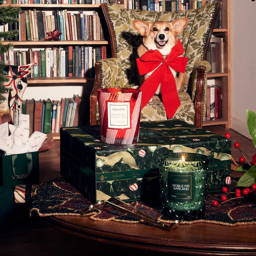 A corgi with a large red bow sits on a chair in a room filled with bookshelves. In front, wrapped gifts and Voluspas Light Up The Holidays Candle Gift Sets are mixed with festive decorations on the table, creating a cozy holiday atmosphere.