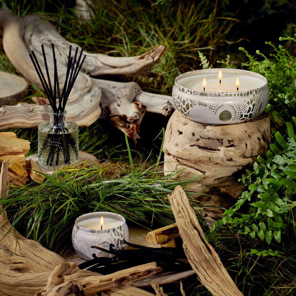 Voluspas Santal Vanille Reed Diffuser and multiple-wick candles, subtly infused with sandalwood, are nestled among driftwood and greenery, creating a serene atmosphere with natural wooden textures and a lush green backdrop.