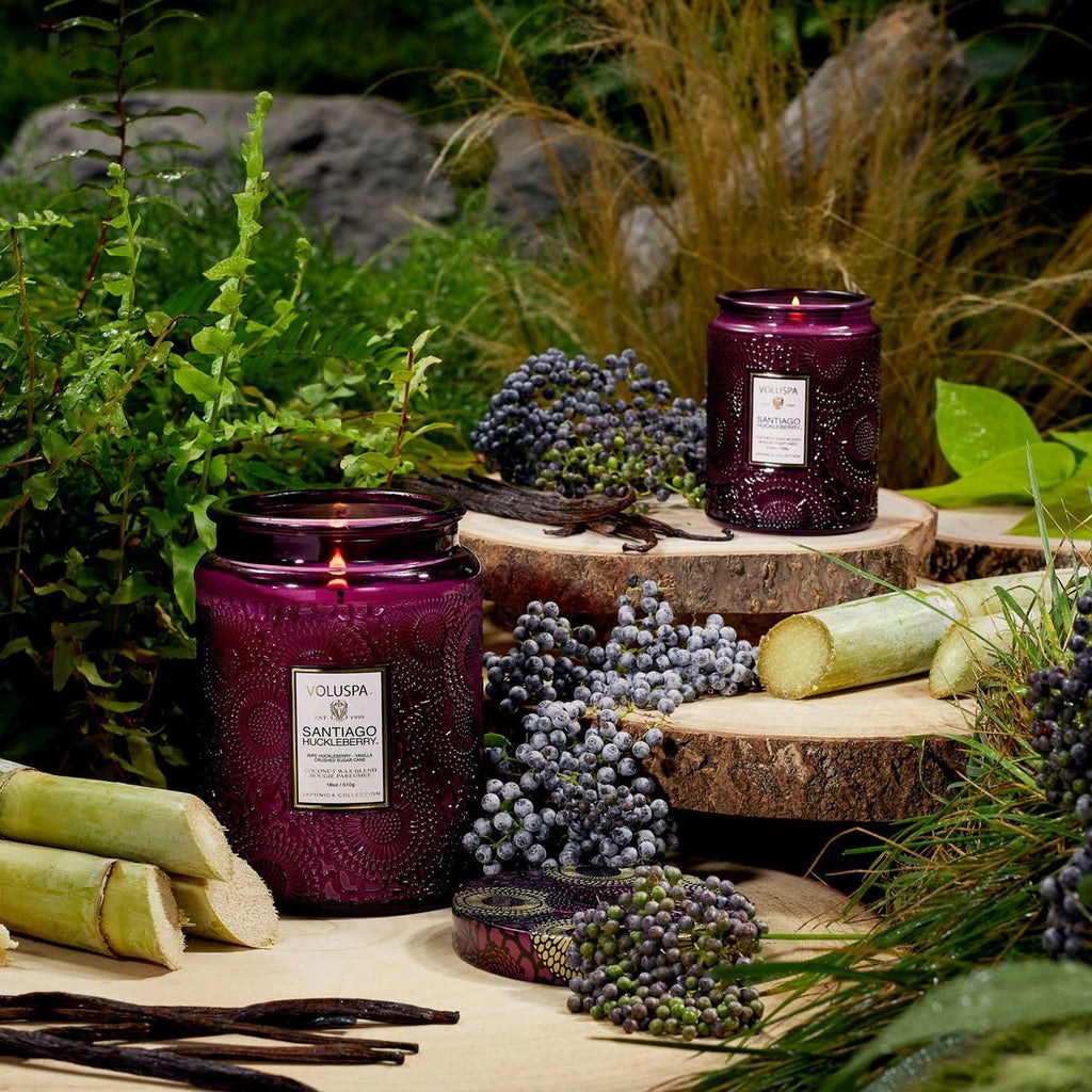 Two Voluspa Santiago Huckleberry candles on wooden slabs surrounded by greenery, huckleberries, and cut sugarcane outdoors. Soft natural light highlights the lush foliage and rustic elements.