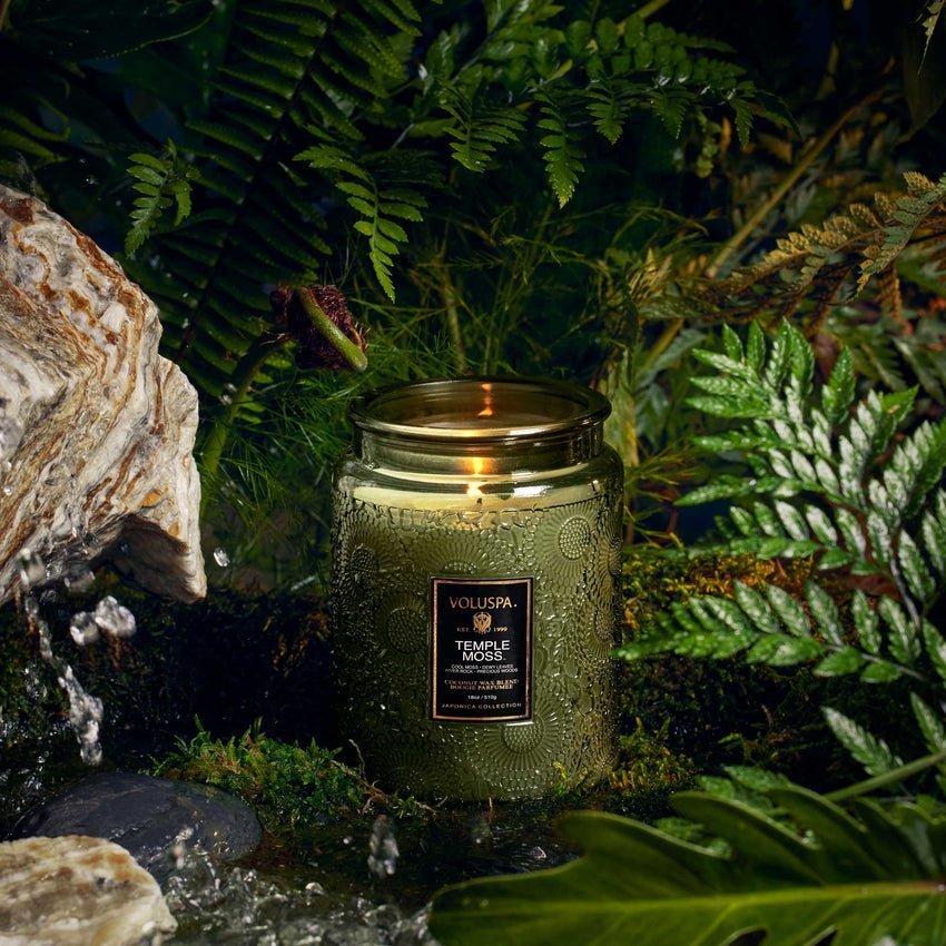 The lit Voluspa - Temple Moss Large Jar 18oz Candle, in an embossed green glass jar, sits among ferns and moss by a bubbling stream. The candles coconut wax blend fills the air with a captivating fragrance, enhancing the tranquil ambiance.