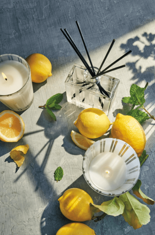 A flat lay featuring the Nest - Amalfi Lemon & Mint Classic Candle, fresh lemons, mint leaves, lemon slices, a glass reed diffuser, and another lit candle on a gray textured surface in natural sunlight.