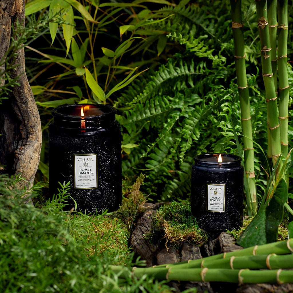 Two labeled Voluspa Moso Bamboo Large Jar 18oz candles sit on moss, encircled by lush ferns and bamboo. Crafted from coconut wax blend, both are lit, casting a warm glow in the greenery.